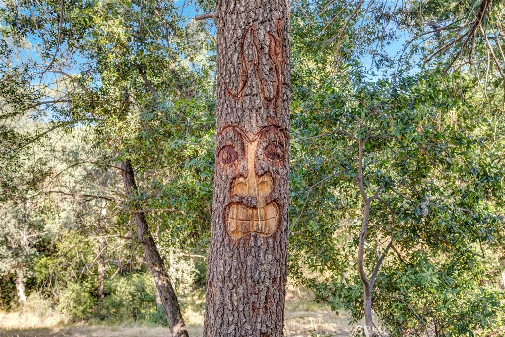 https://media.crmls.org/medias/cfc81d36-1201-4656-9450-acb8a86b9ebb.jpg?preset=X-Large