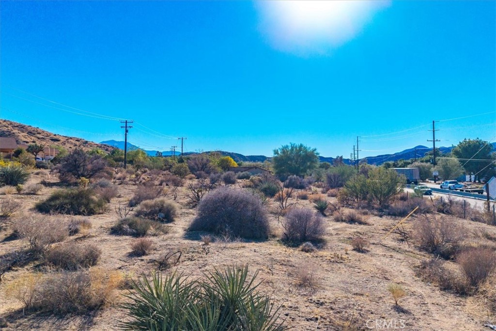 MLS #JT25260139 image #6