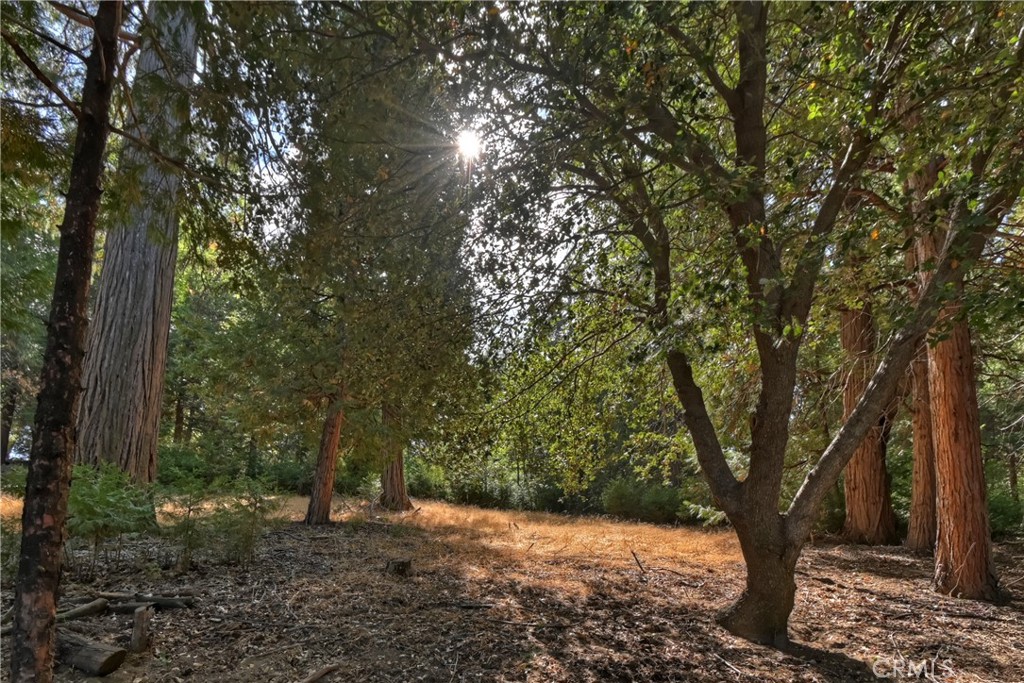 https://media.crmls.org/medias/cfcc12a2-95d6-4752-98f3-5e9bc0e2abc4.jpg?preset=X-Large