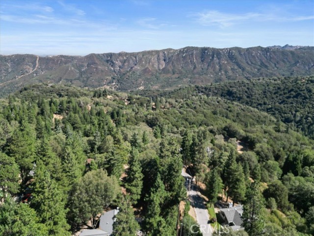 107 Pine Ridge, Crestline, CA 92325