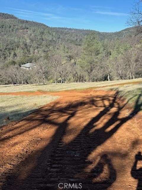 Detail Gallery Image 11 of 14 For 1484 Oregon Gulch Rd, Oroville,  CA 95965 - – Beds | – Baths