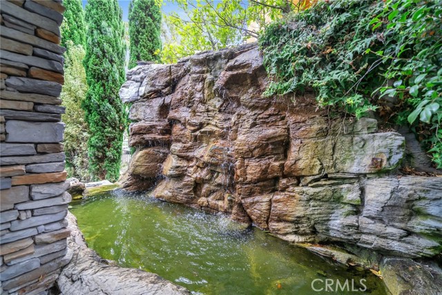 Koi Pond/ Water Fountain