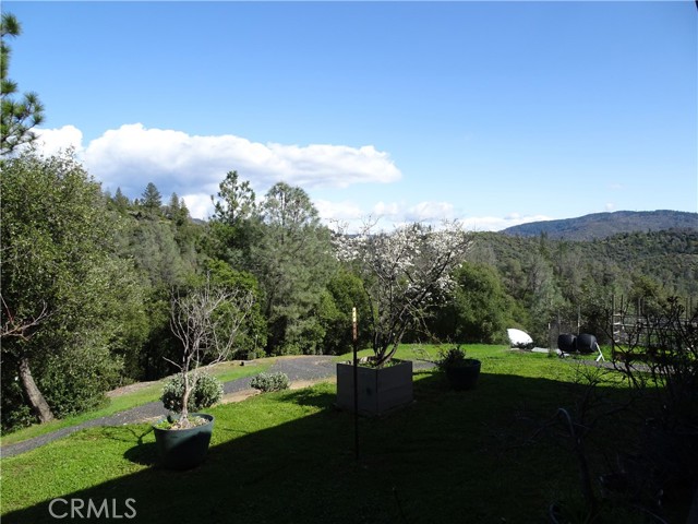 Image 10 of 49 For 240 Rich Gulch