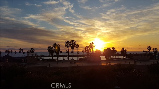 Gorgeous Sunsets in the Harbor