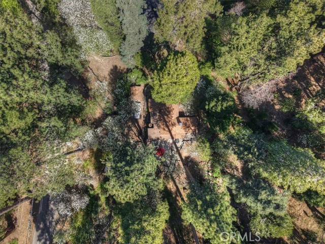 Detail Gallery Image 51 of 52 For 851 Cottage Grove, Lake Arrowhead,  CA 92352 - 2 Beds | 2 Baths