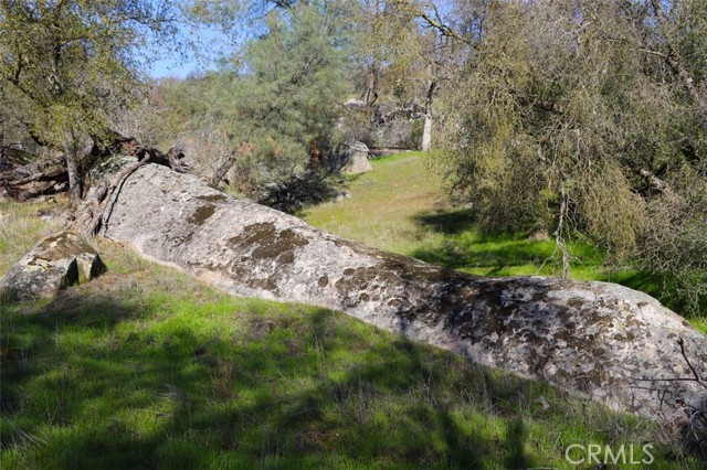 Detail Gallery Image 17 of 24 For 0 6.48 Ac Long Hollow Dr, Coarsegold,  CA 93614 - – Beds | – Baths