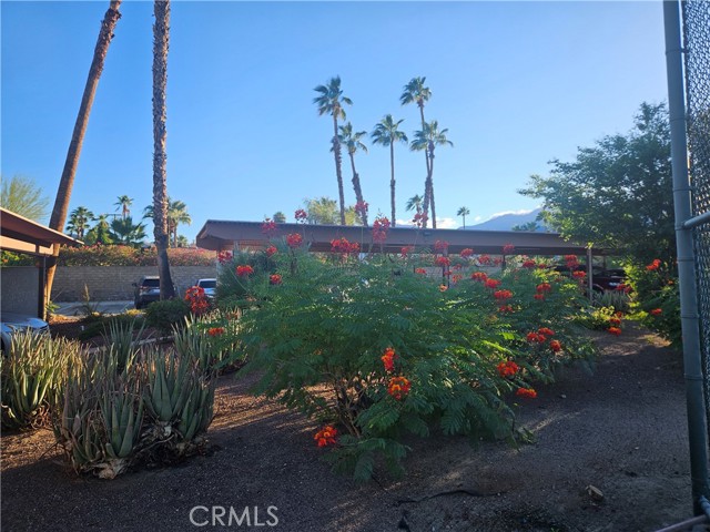 Detail Gallery Image 38 of 42 For 3155 E Ramon #601,  Palm Springs,  CA 92264 - 3 Beds | 2 Baths