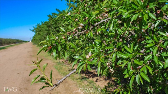Detail Gallery Image 16 of 16 For 25012 Avenue 24, Chowchilla,  CA 93610 - – Beds | – Baths