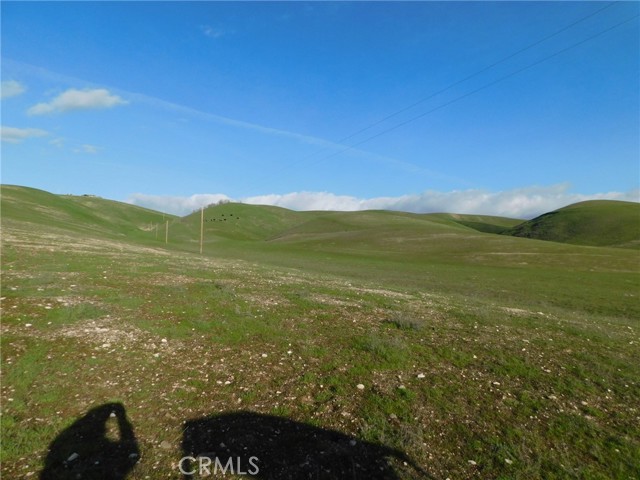 Thumbnail Photo