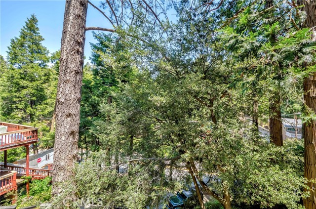 Detail Gallery Image 6 of 46 For 828 Fern Dr, Crestline,  CA 92325 - 2 Beds | 1/1 Baths