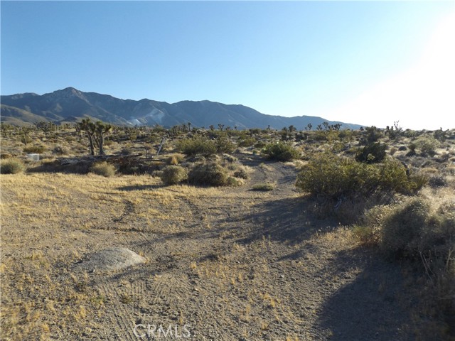 Detail Gallery Image 7 of 10 For 15 Tate Ln, Lucerne Valley,  CA 92356 - – Beds | – Baths