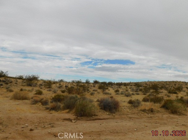 Front Image Thumbnail for CRIV26230731