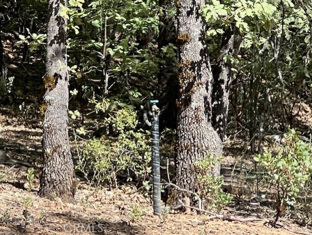 running water from Cobb water metered