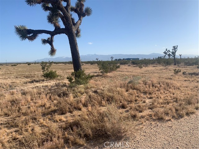 Detail Gallery Image 19 of 23 For 0 Poppy Rd, Adelanto,  CA 92301 - – Beds | – Baths