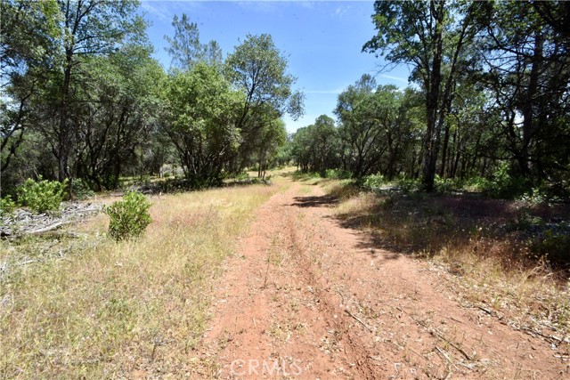 0 Mackey Court, Oroville CA: https://media.crmls.org/medias/cff4759b-b643-4332-87bd-3de399081bad.jpg