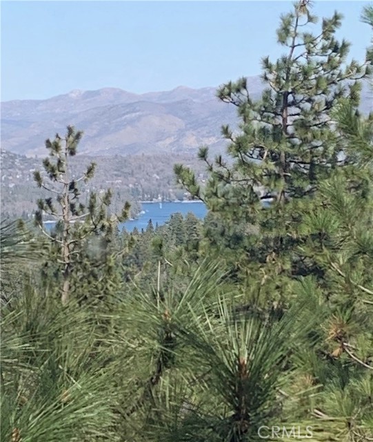 Detail Gallery Image 51 of 61 For 1130 Park Place, Lake Arrowhead,  CA 92378 - 3 Beds | 2 Baths