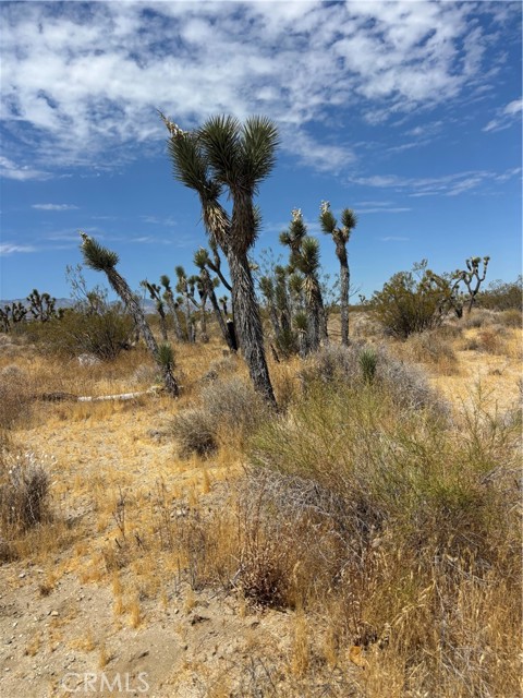  Land for Sale in Black Butte, California