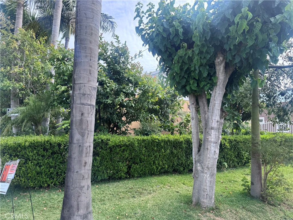 https://media.crmls.org/medias/cffa4fe5-5d98-4b12-9cbf-498af2f74544.jpg?preset=X-Large