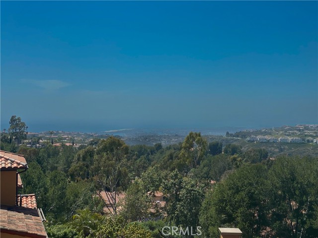15 Riva Drive, Newport Coast CA: https://media.crmls.org/medias/cffbacaf-8cf4-4ef5-a0d4-63ce6148fb42.jpg