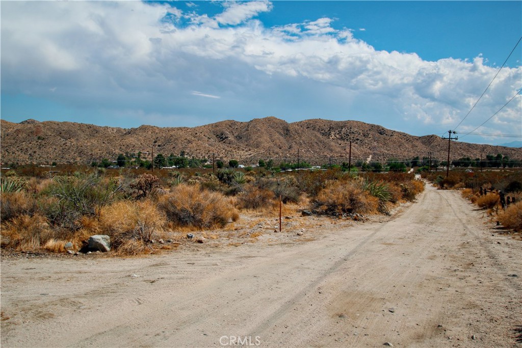 MLS #RS25195860 image #6