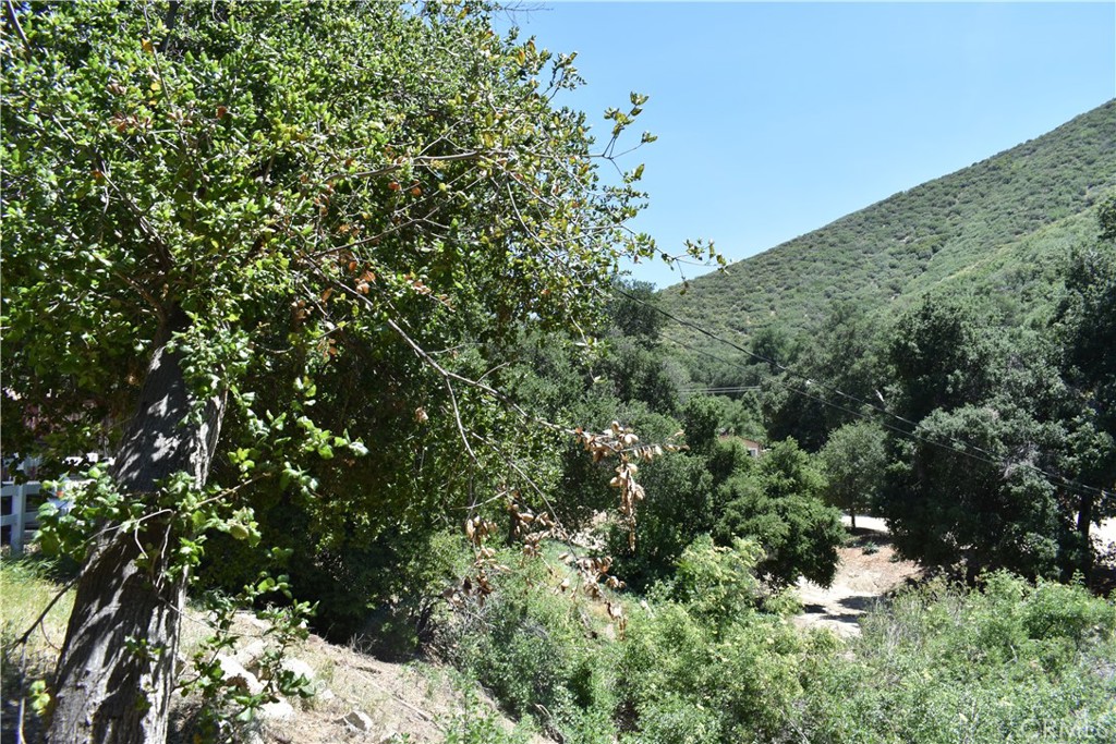 MLS #HD25051670 image #3