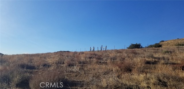0 Rolandee Street, Acton CA: https://media.crmls.org/medias/d00769f7-c8fb-4c05-bd1f-7a8a3d82ba7b.jpg