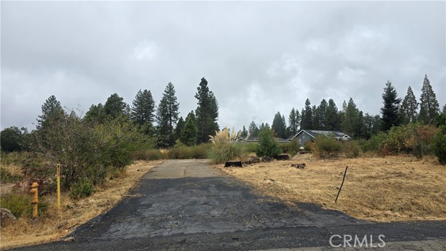 Front Image Thumbnail for CRSN25232606