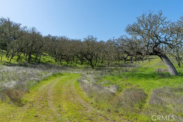 Detail Gallery Image 11 of 25 For 0 Spring Creek Way, Templeton,  CA 93465 - – Beds | – Baths