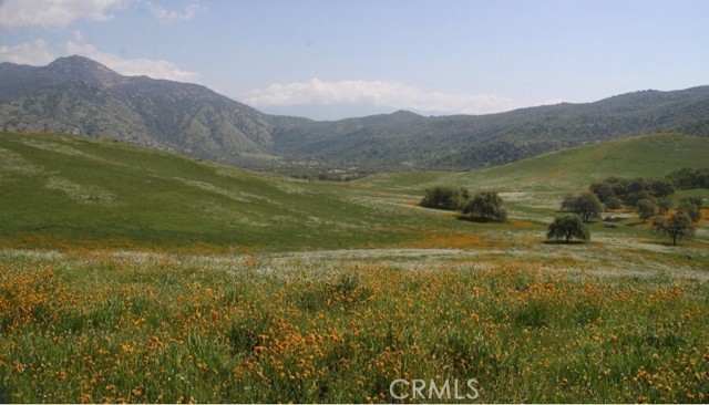 Front Image Thumbnail for CRCV26070121