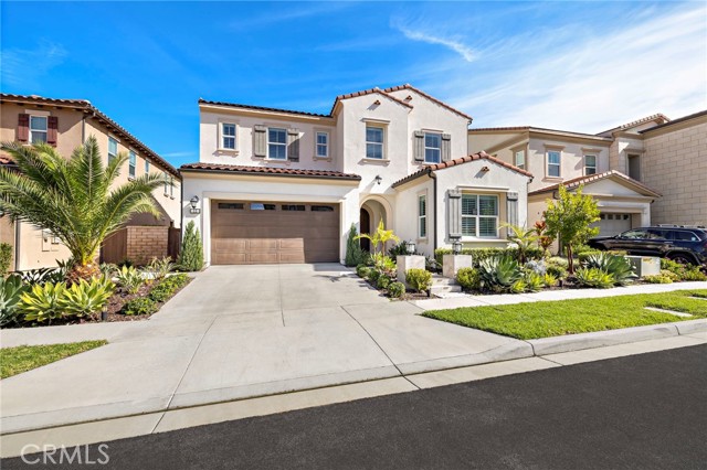 Image 3 of 59 For 12 Belladonna