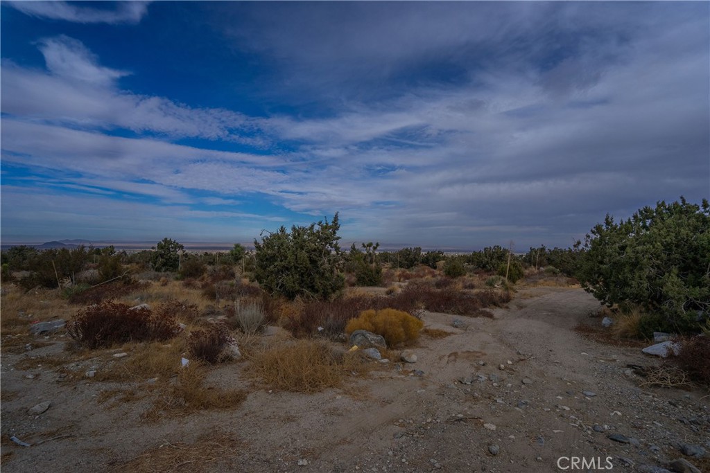 MLS #PW25003493 image #4