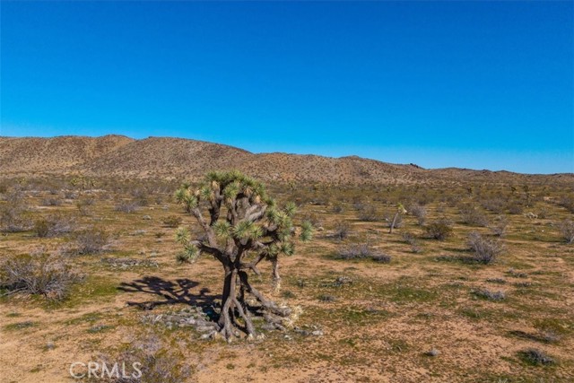 Detail Gallery Image 5 of 45 For 58459 Starlight Mesa Rd, Yucca Valley,  CA 92284 - – Beds | – Baths