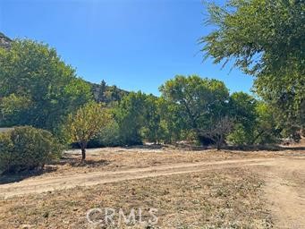 Detail Gallery Image 48 of 51 For 42930 Lake Hughes Rd, Lake Hughes,  CA 93532 - 6 Beds | 4 Baths
