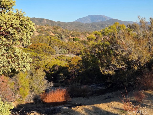 Detail Gallery Image 21 of 25 For 0 Mount Rd, Anza,  CA 92539 - – Beds | – Baths