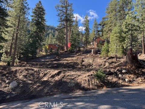 Drew Fenton | 0 Piute Dr June Lake CA | MLS: 7472150