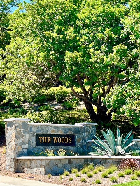 Detail Gallery Image 55 of 57 For 22 Palomino, Coto de Caza,  CA 92679 - 7 Beds | 7/1 Baths