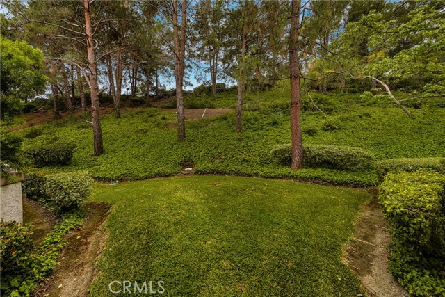 61 Montara Drive, Aliso Viejo CA: https://media.crmls.org/medias/d02fc7cd-27bd-4cf0-9709-85a7d5daf40e.jpg