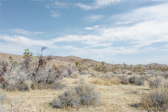 Detail Gallery Image 14 of 19 For 59525 La Crescenta Dr, Yucca Valley,  CA 92284 - – Beds | – Baths