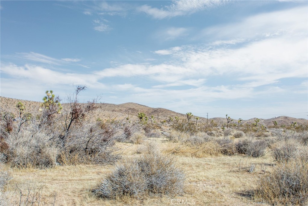 MLS #JT25097293 image #13