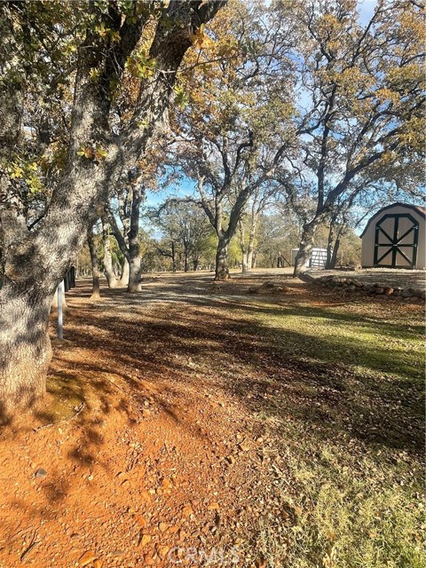19035 Bonita Road, Red Bluff CA: https://media.crmls.org/medias/d03169ee-0936-4939-ac26-6db0fcc51b27.jpg