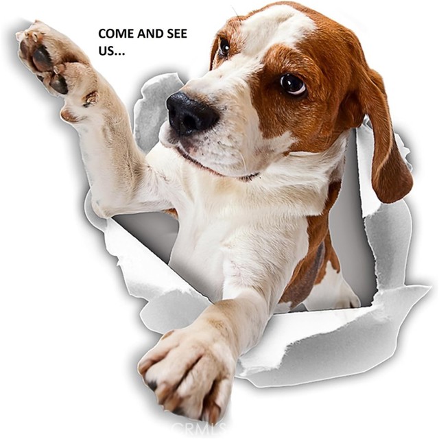 Detail Gallery Image 32 of 33 For 3030 Frontier, Thousand Oaks,  CA 91360 - 4 Beds | 2/1 Baths