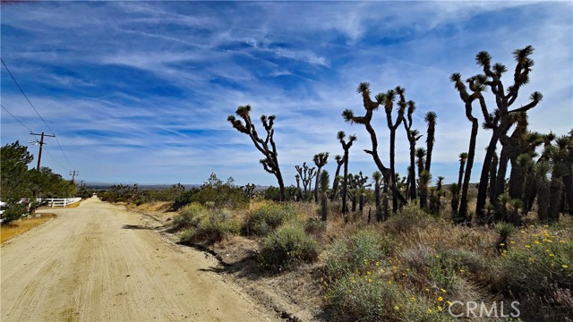 Detail Gallery Image 7 of 49 For 0 103rd St East Vicinity W14, –,  CA 93543 - – Beds | – Baths