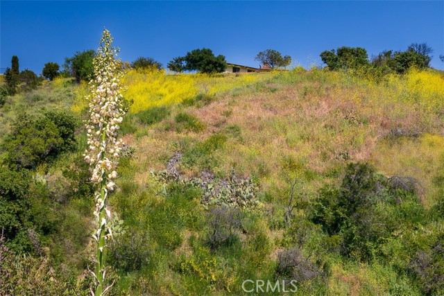 19041 Live Oak Canyon Road, Trabuco Canyon CA: https://media.crmls.org/medias/d0367980-b025-4350-8905-449cd44bcf27.jpg
