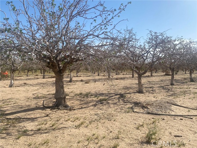 35500 Newberry Road, Newberry Springs, California 92365, ,Land,For Sale,35500 Newberry Road,CRHD23065818