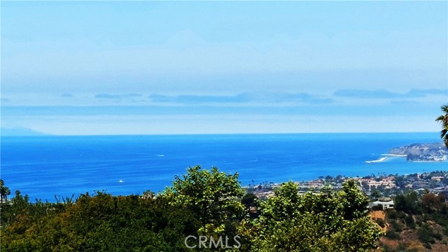 40 Paseo Alba, San Clemente CA: https://media.crmls.org/medias/d0435bd5-26ae-4b2d-8f89-56aaf932af7d.jpg