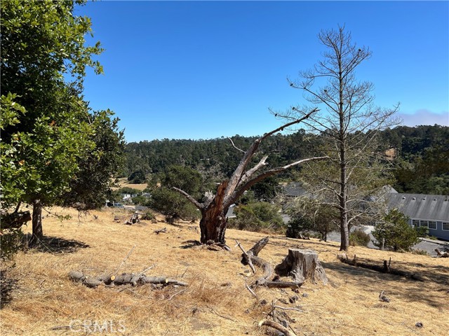 4925 Grove Street, Cambria, California 93428, ,Land,For Sale,4925 Grove Street,CRSC23001880