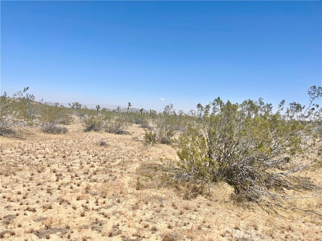 Detail Gallery Image 15 of 19 For 20 Acres, Yucca Valley,  CA 92285 - – Beds | – Baths