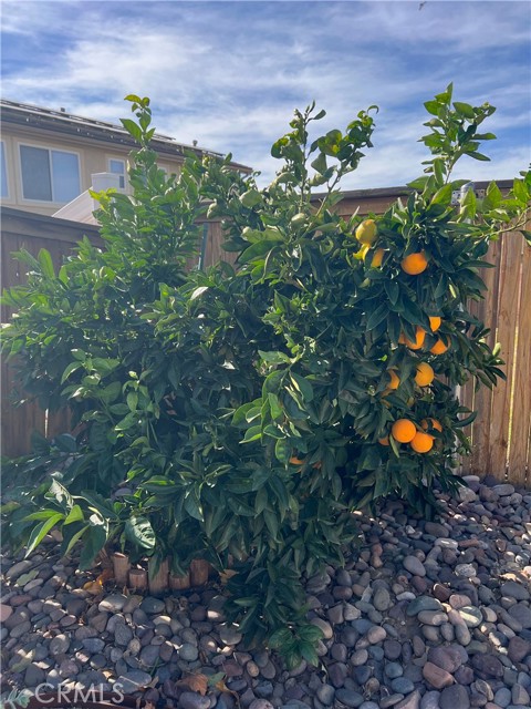 Detail Gallery Image 29 of 34 For 1433 Fallbrook, Beaumont,  CA 92223 - 3 Beds | 2 Baths