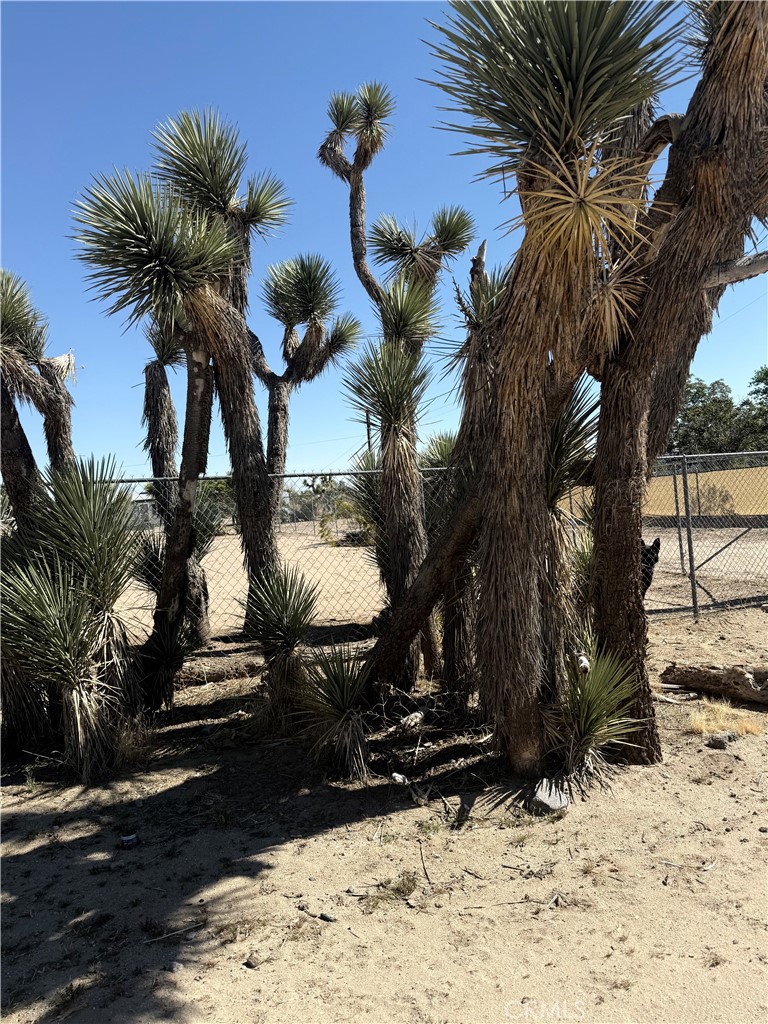 https://media.crmls.org/medias/d04d0dfd-6395-47c9-aee5-2bdf7c93b8f7.jpg?preset=X-Large