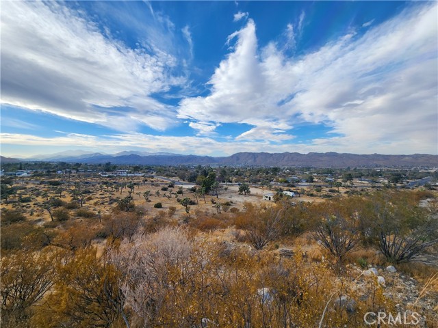 Detail Gallery Image 8 of 13 For 164 Lot Joshua Ln, Yucca Valley,  CA 92284 - – Beds | – Baths